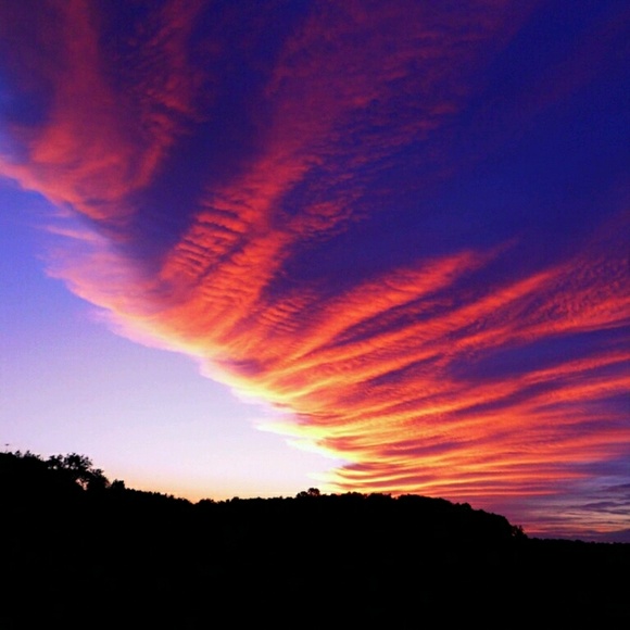 Meet your Posher, Trista - Picture 1 of 1